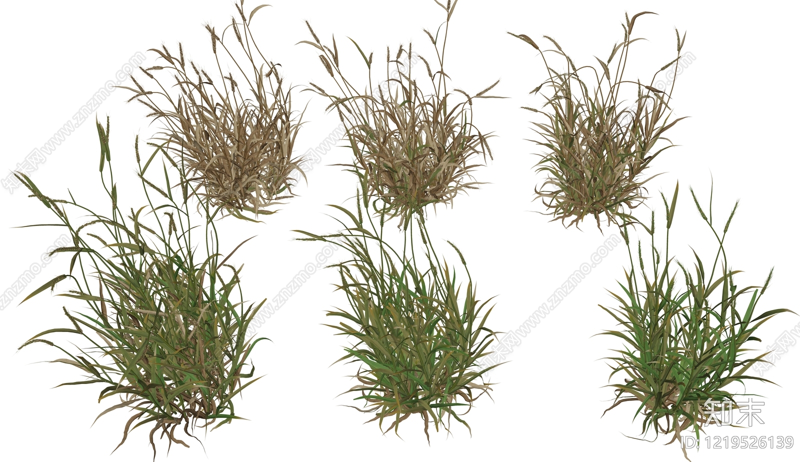 null草本植物SU模型下载【ID:1219526139】