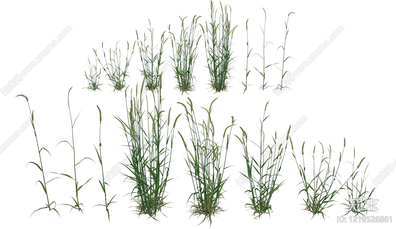 null草本植物SU模型下载【ID:1219526861】