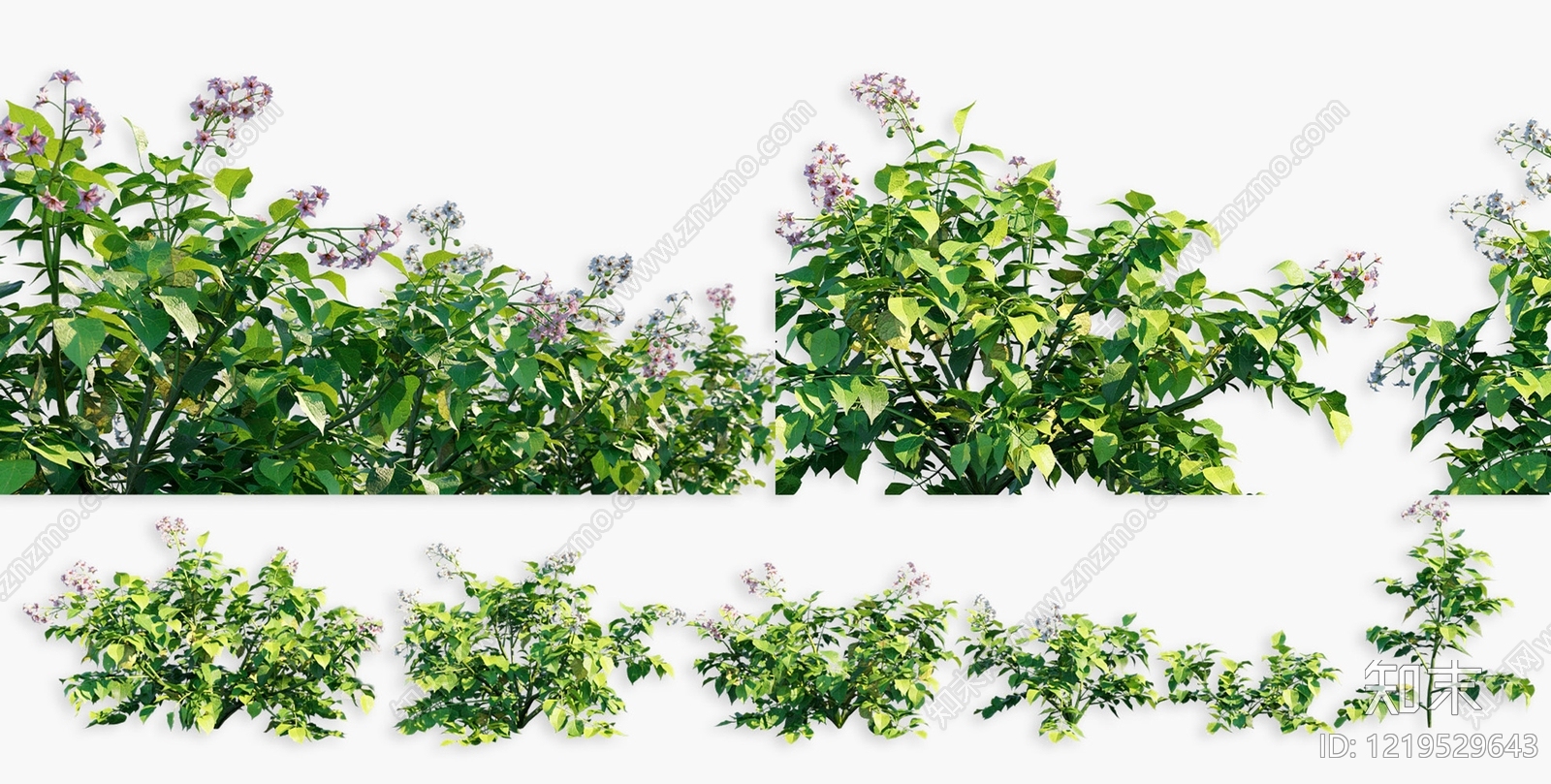 null花草组合3D模型渲染效果图