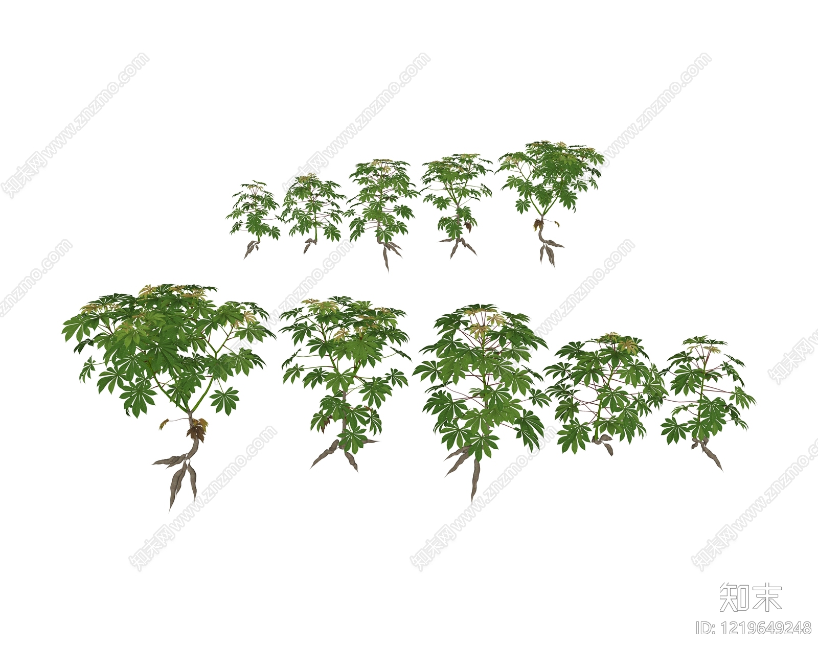 null农作物SU模型下载【ID:1219649248】