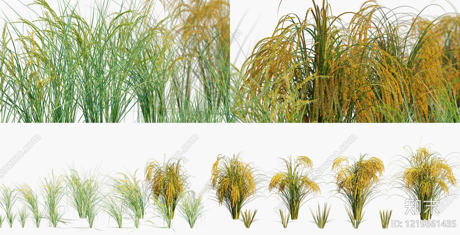 新中式景观花草组合3D模型渲染效果图