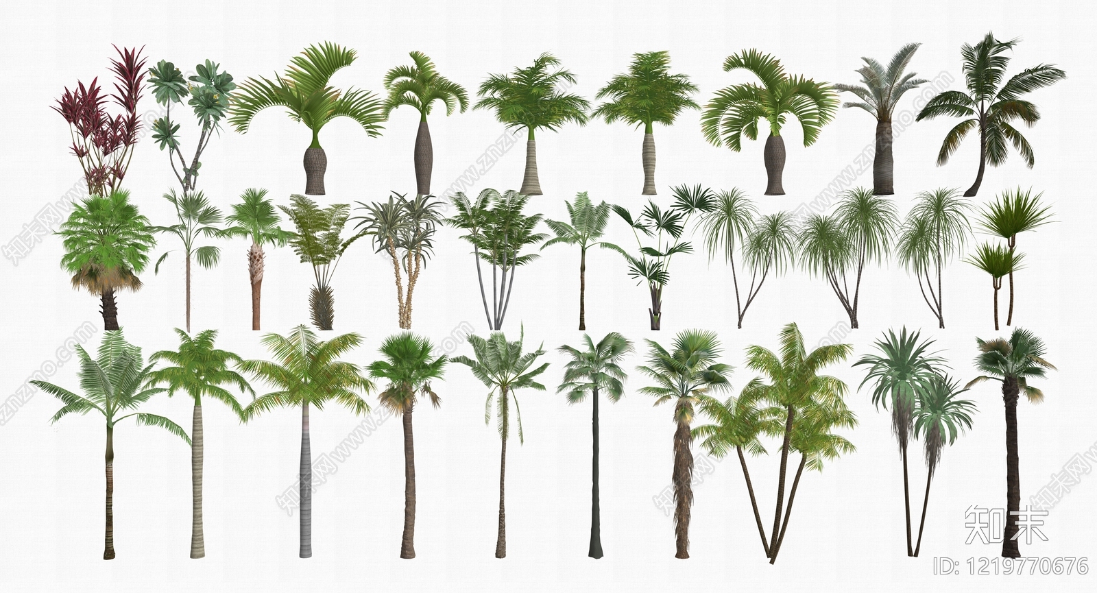 热带植物造景乔木SU模型草图