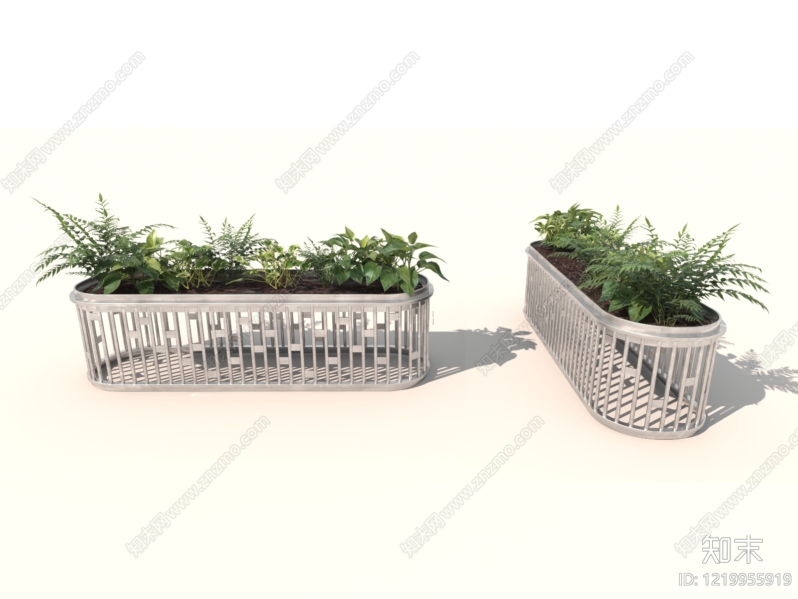 极简主义绿植摆件3D模型渲染效果图
