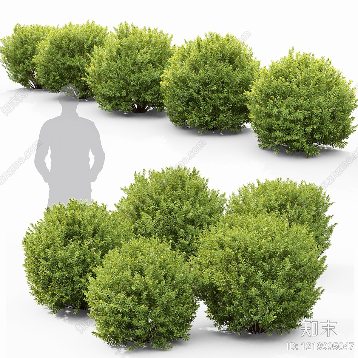 null灌木3D模型渲染效果图