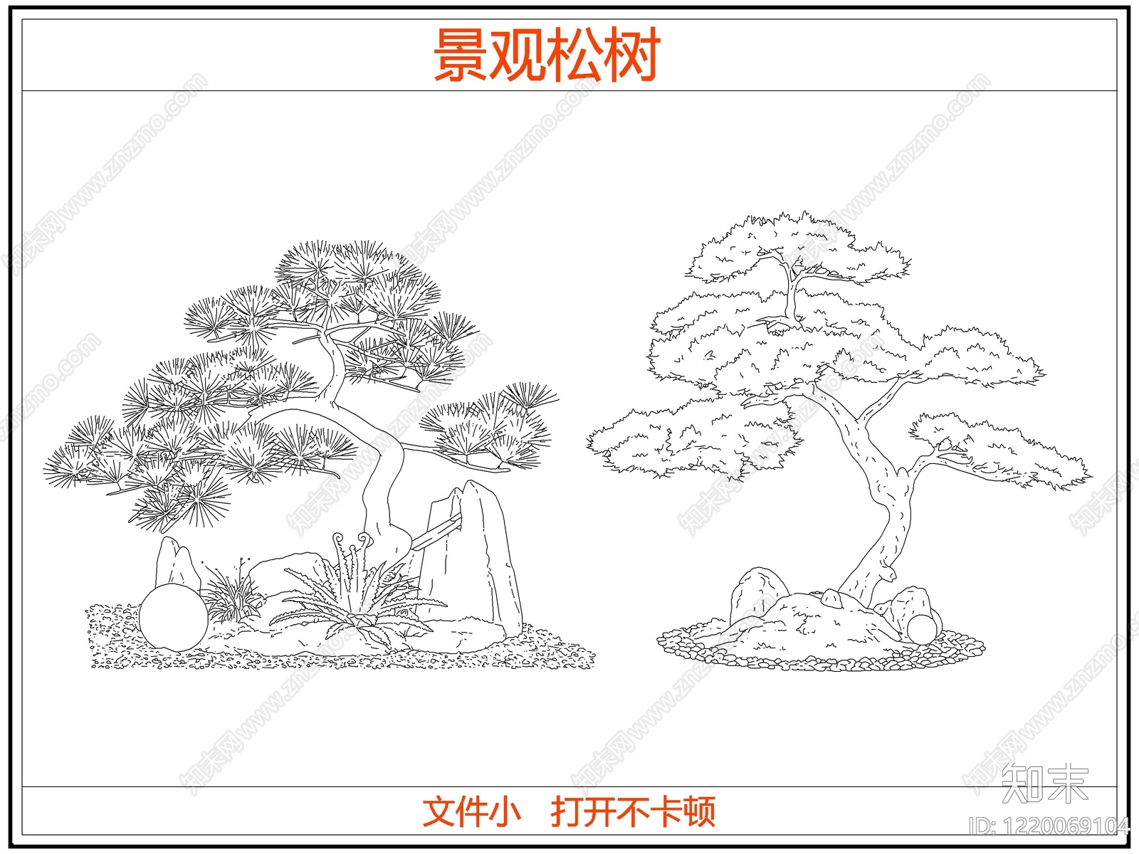 中式乔木种植CAD图纸