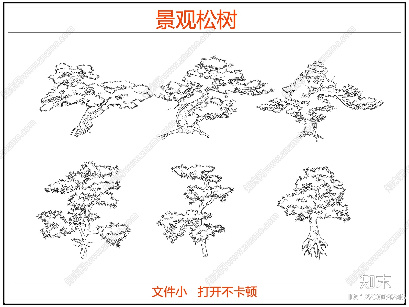 中式乔木种植CAD图纸