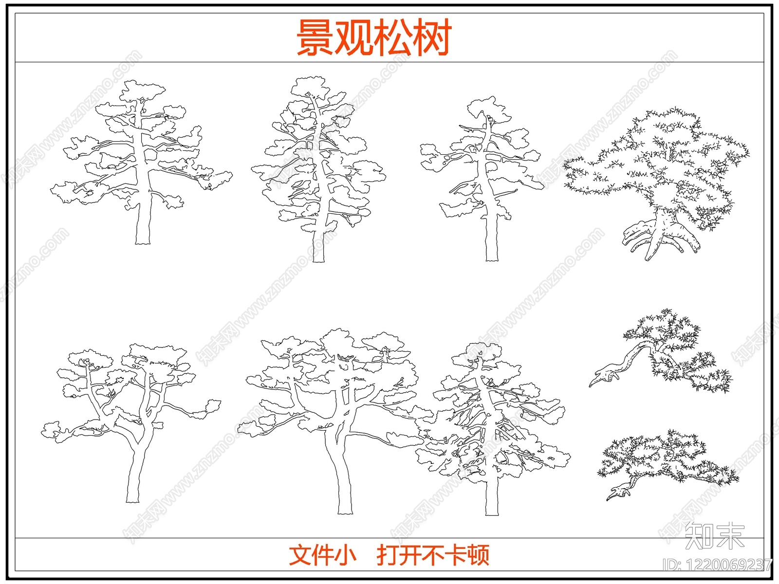 中式乔木种植CAD图纸