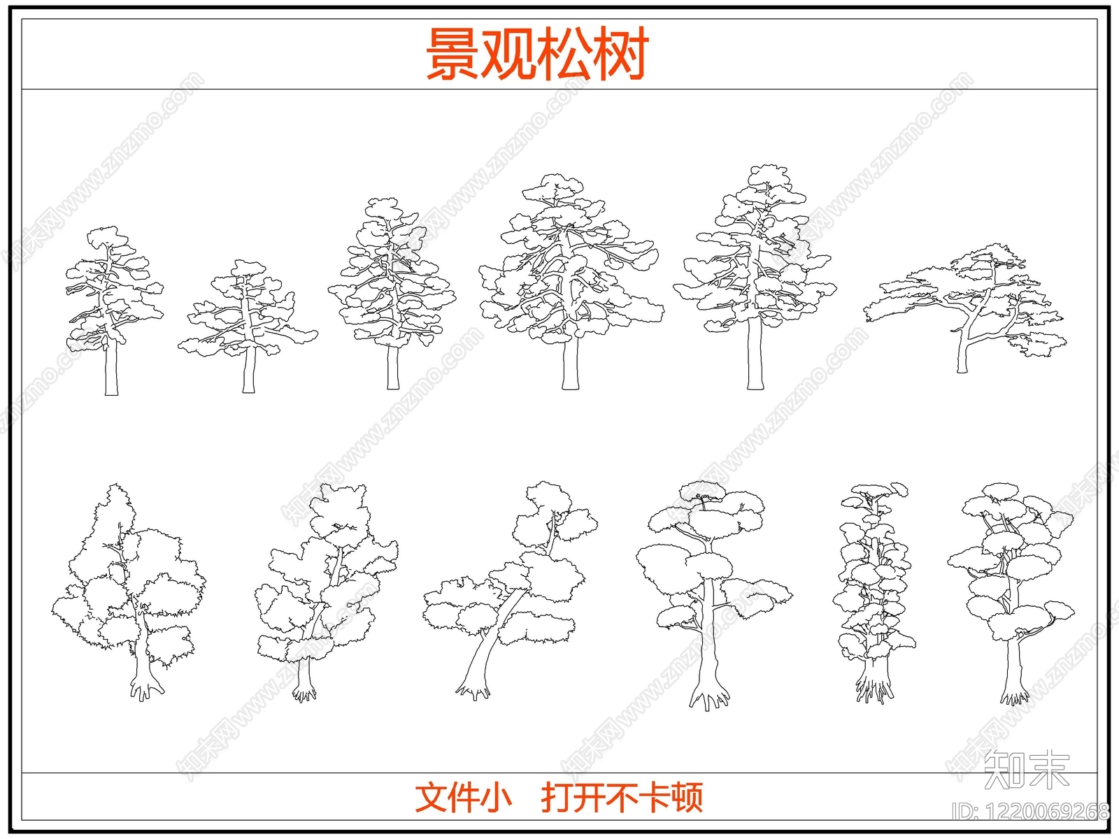 中式乔木种植CAD图纸