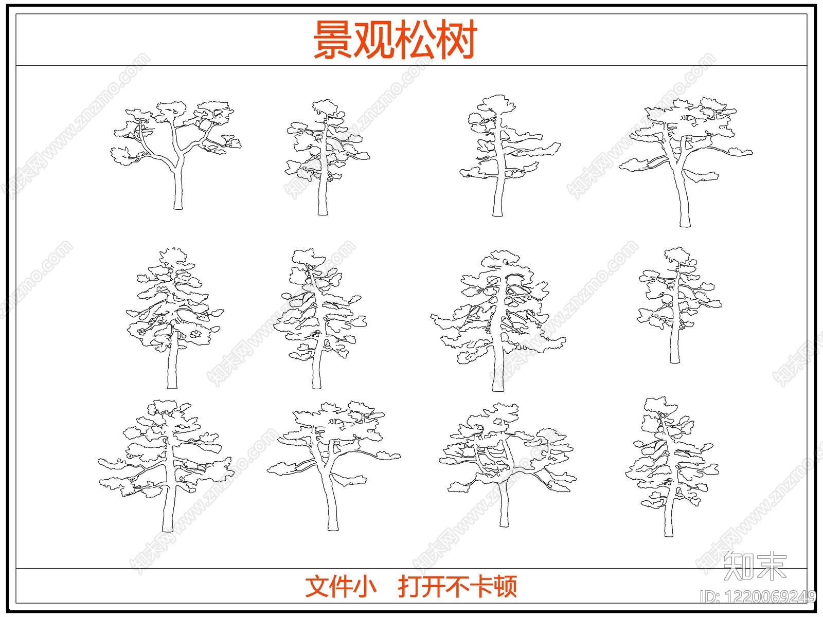 中式乔木种植CAD图纸