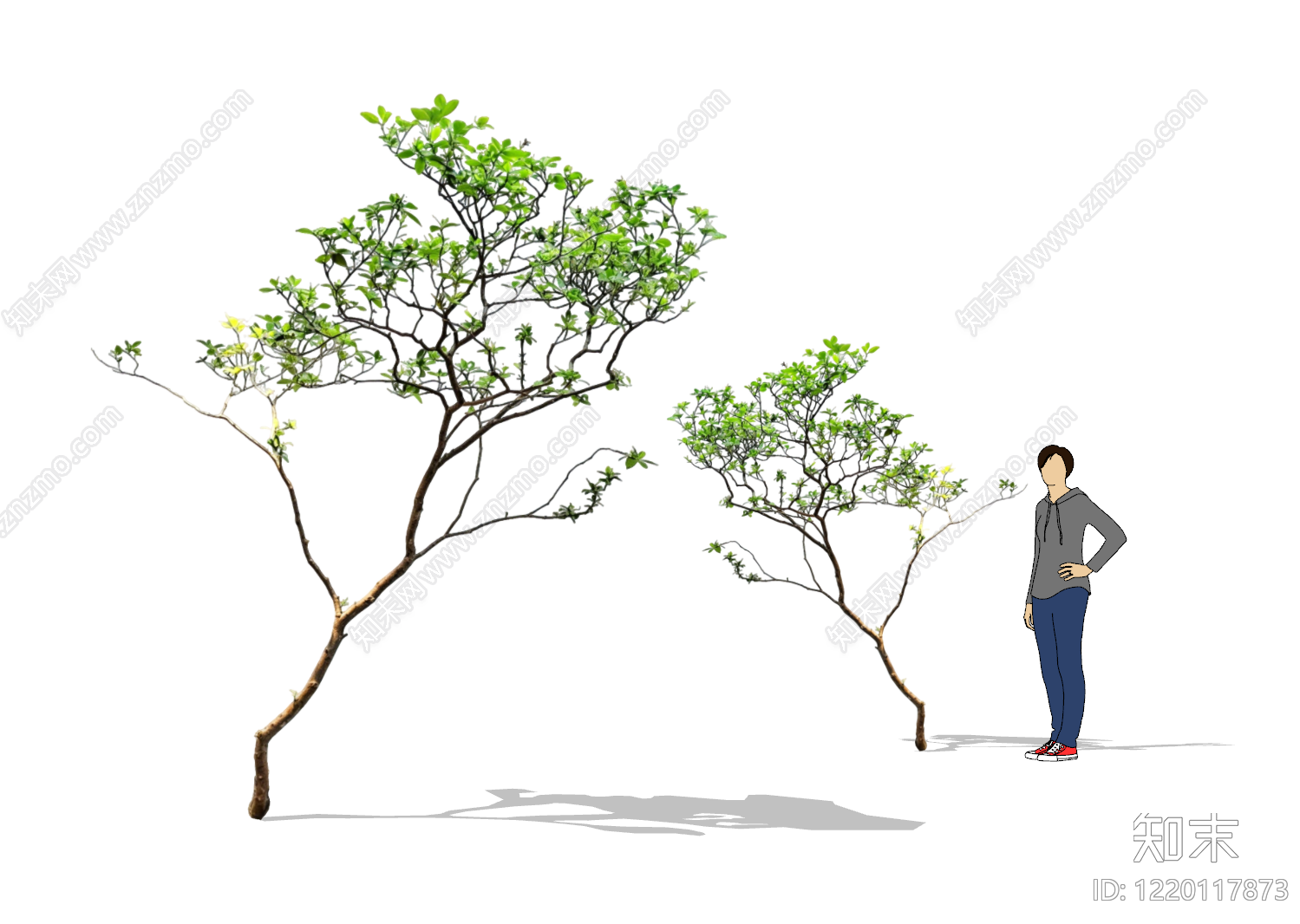 禅意灌木SU模型下载【ID:1220117873】