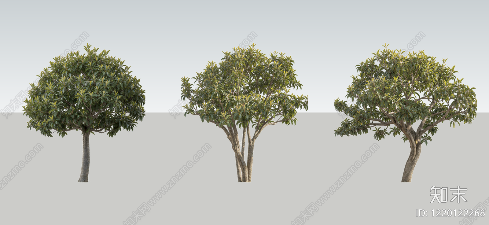 乔木SU模型下载【ID:1220122268】