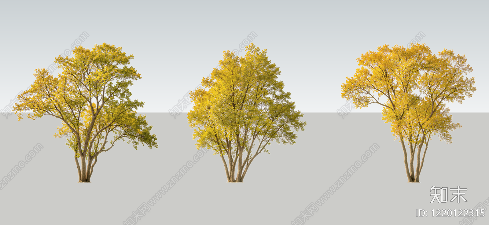 乔木SU模型下载【ID:1220122315】