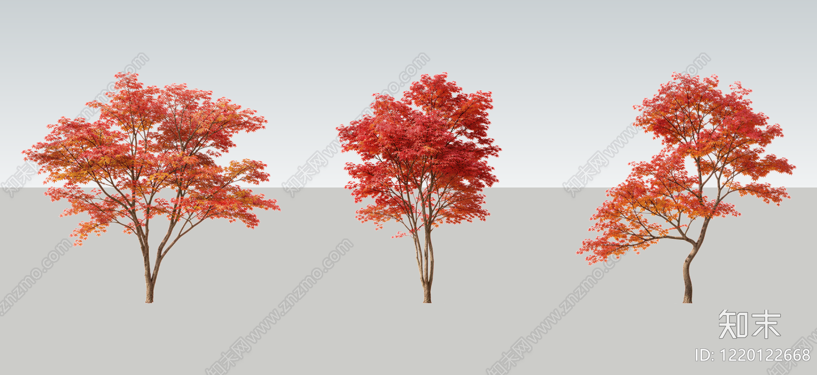 日式禅意乔木SU模型下载【ID:1220122668】