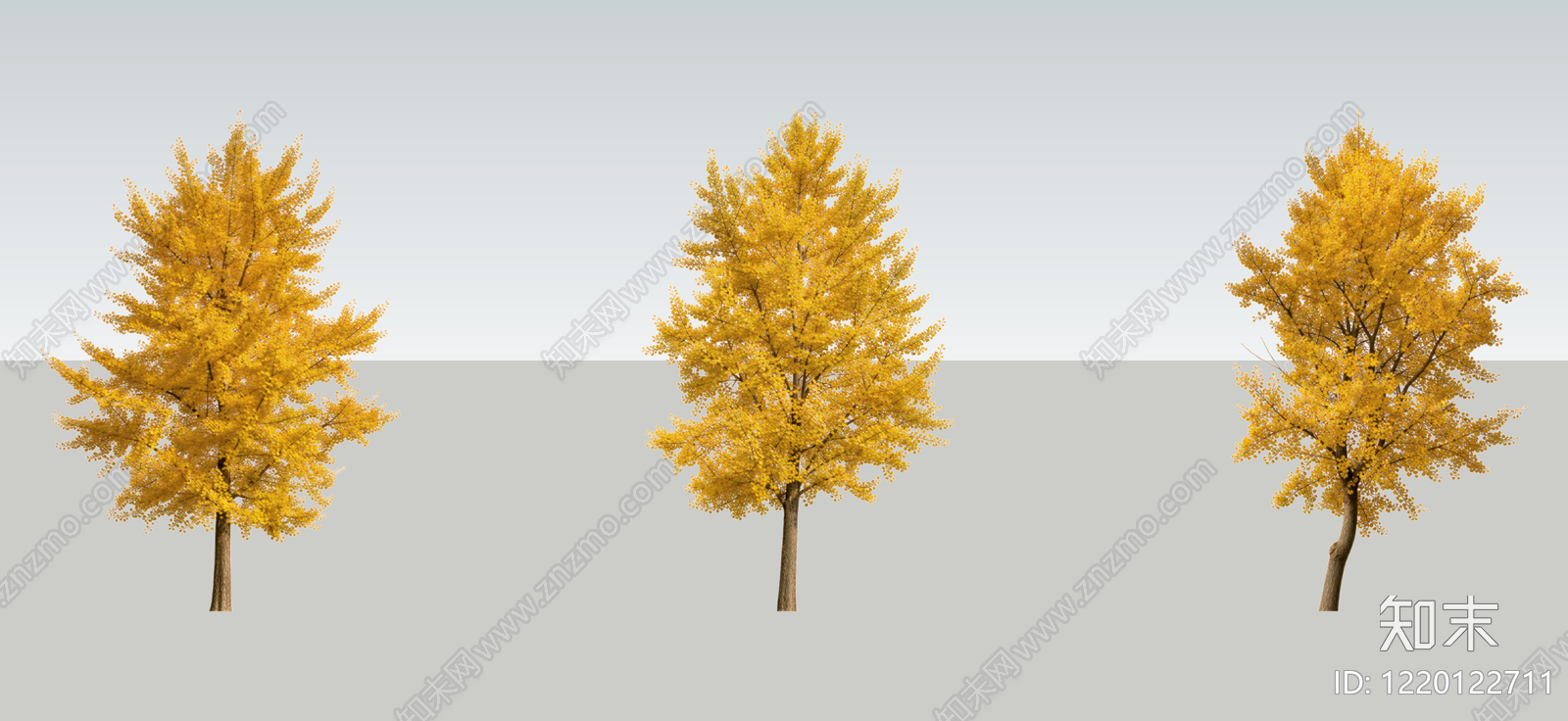 新中式景观乔木SU模型下载【ID:1220122711】