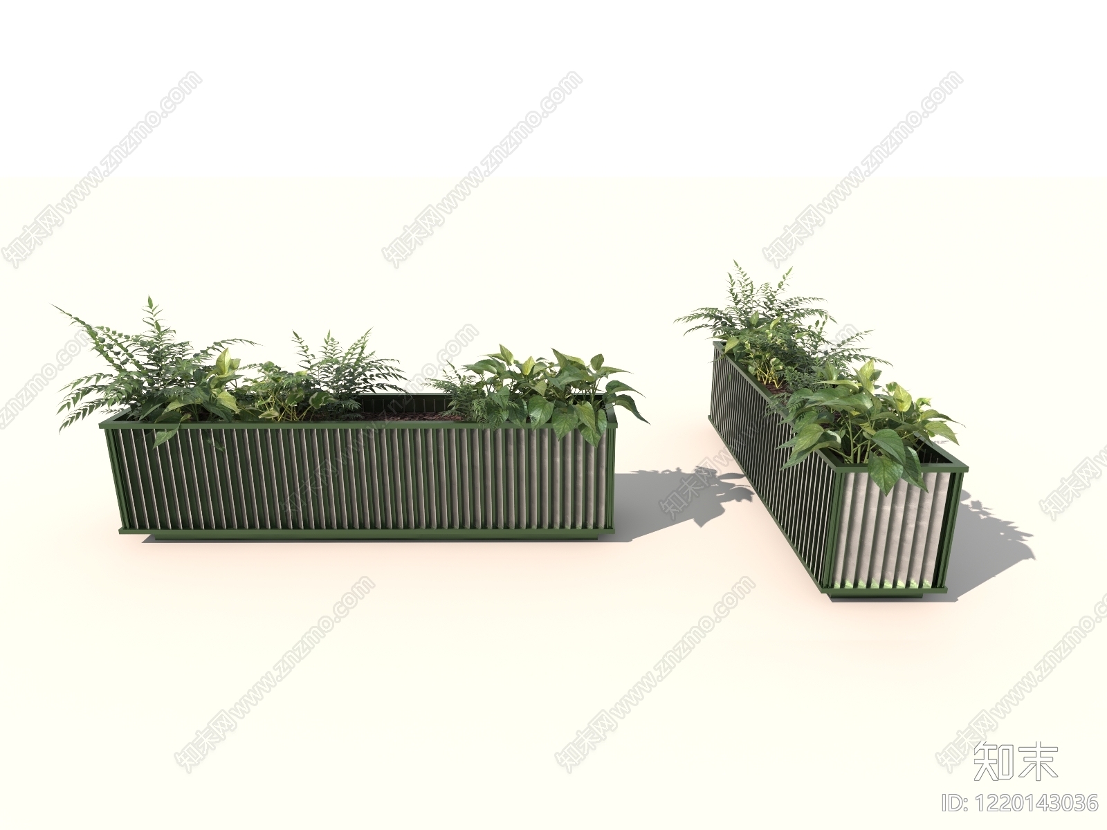 极简主义绿植摆件3D模型渲染效果图