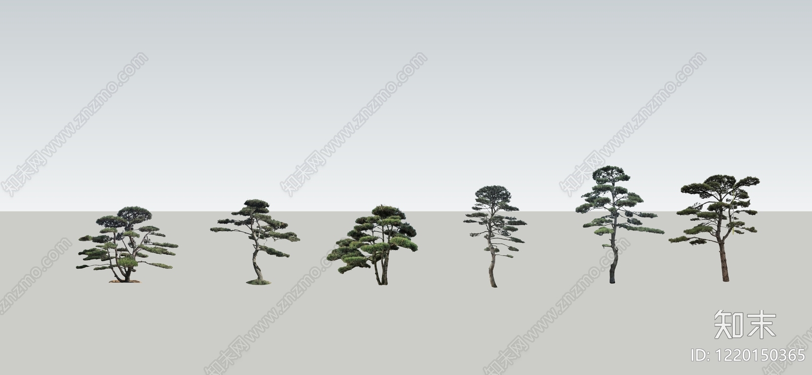 2D新中式景观乔木SU模型下载【ID:1220150365】