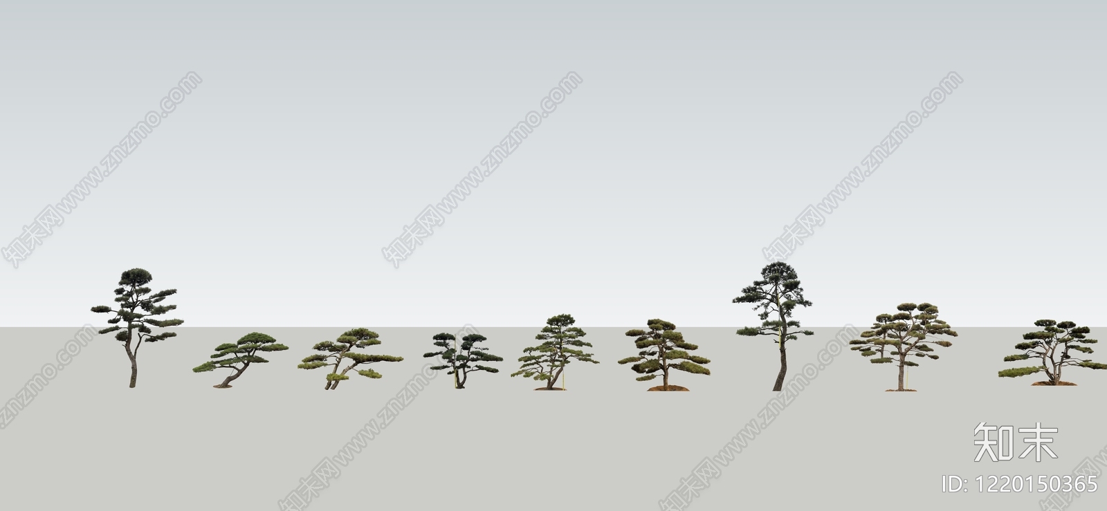 2D新中式景观乔木SU模型下载【ID:1220150365】
