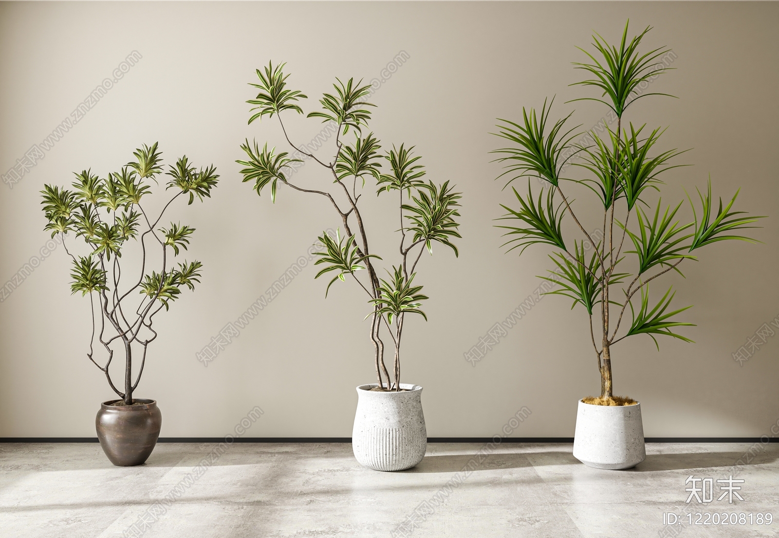侘寂盆栽3D模型下载【ID:1220208189】