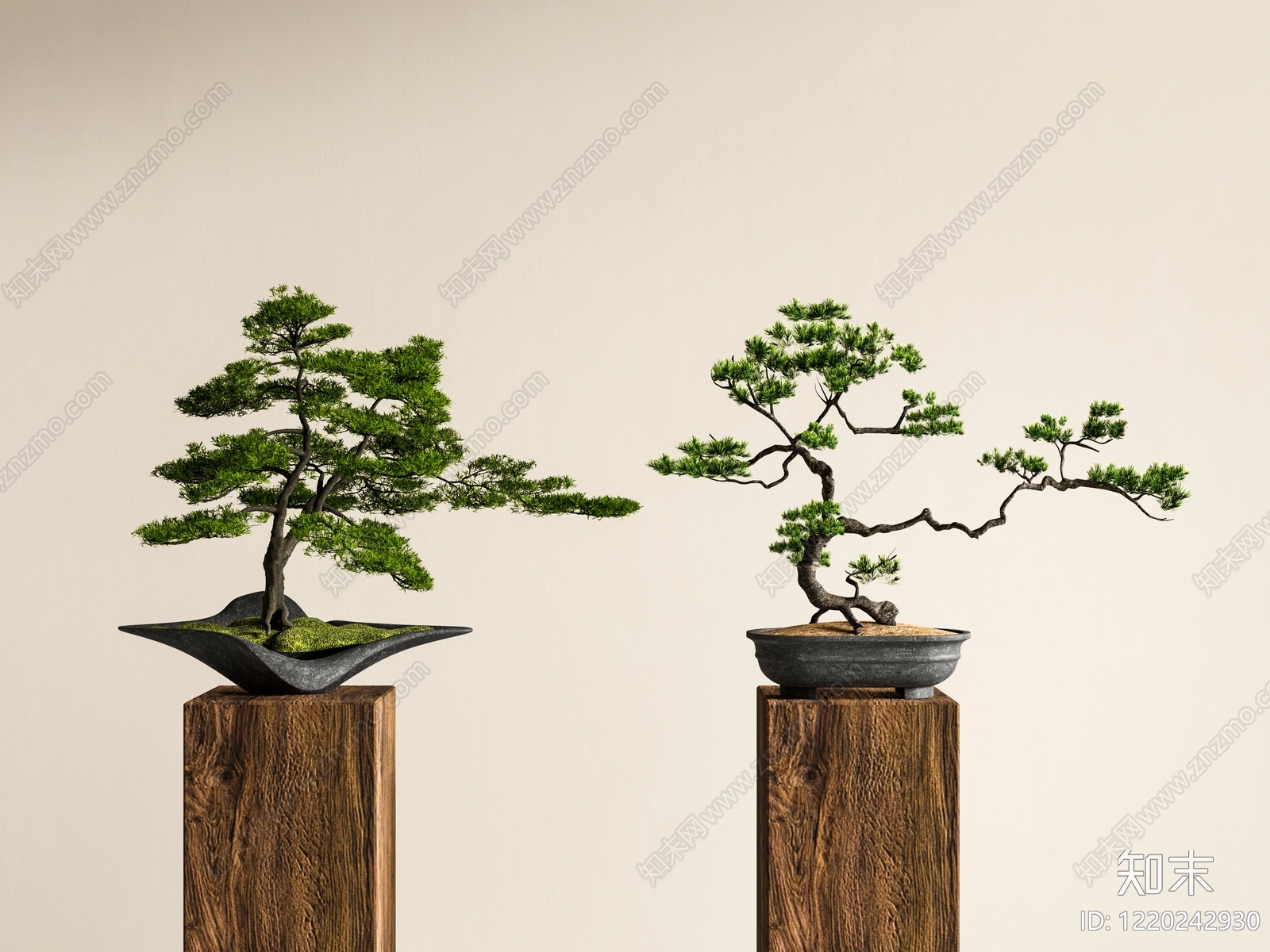 禅意绿植摆件3D模型渲染效果图