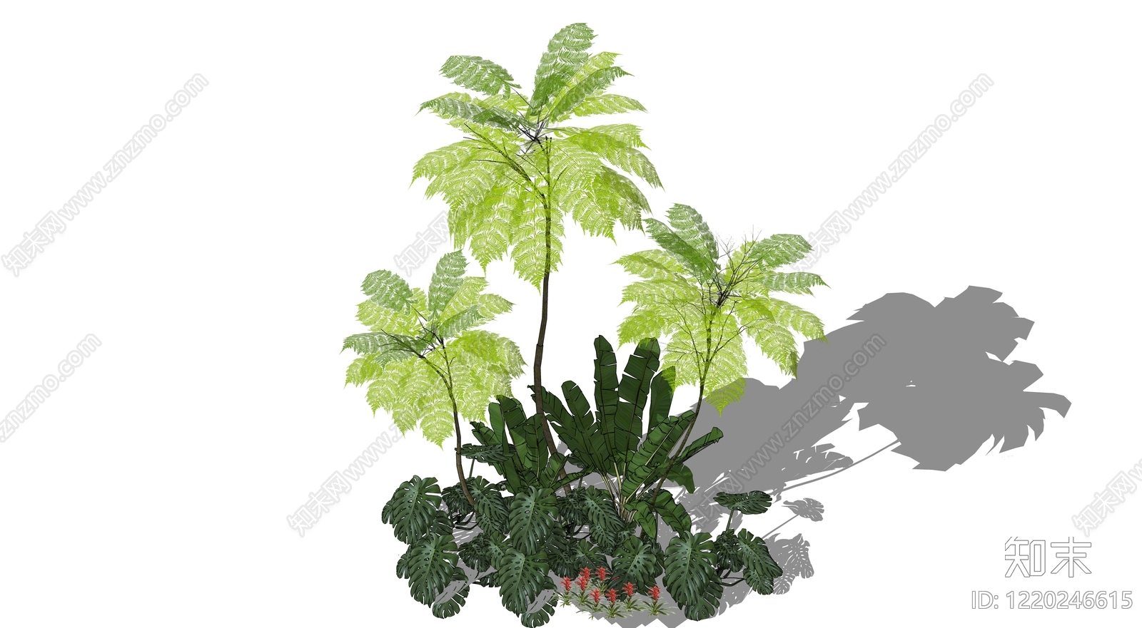 热带自然风乔木SU模型下载【ID:1220246615】