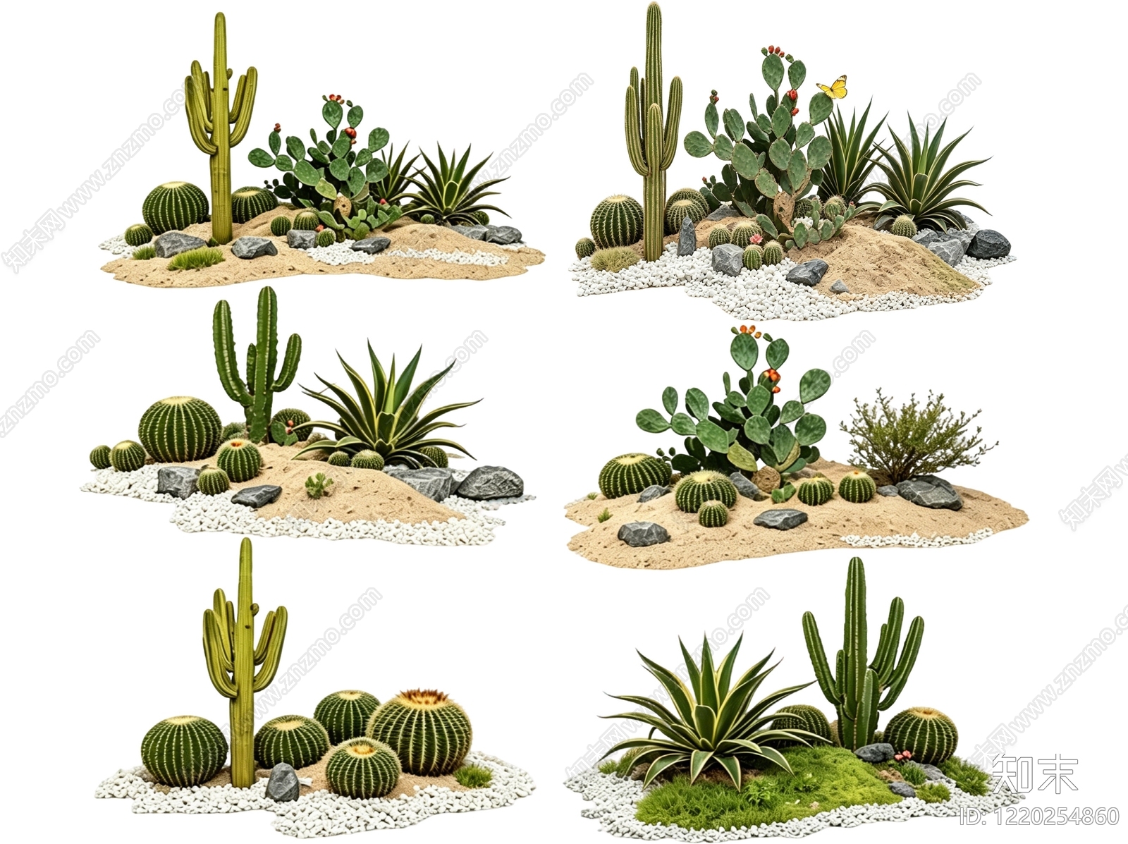荒漠风造景沙漠植物SU模型草图