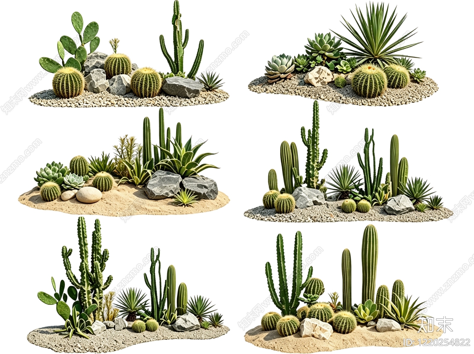 热带沙漠风沙漠植物SU模型草图