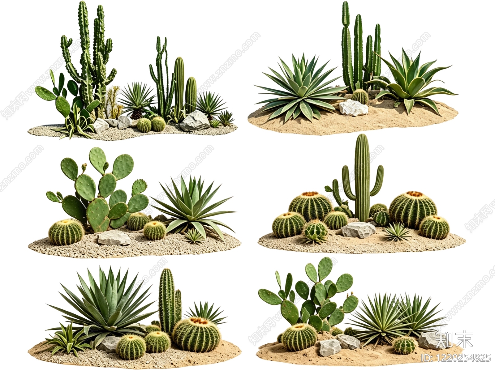 热带沙漠风沙漠植物SU模型草图