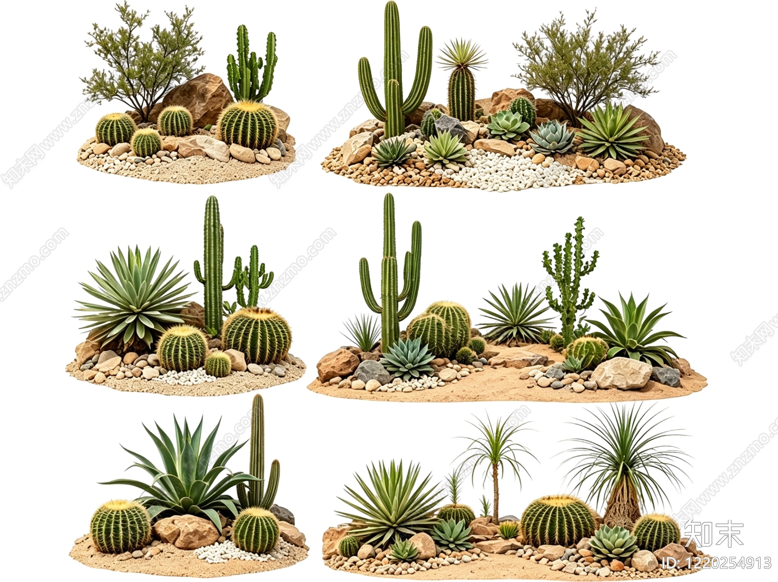 沙漠旱生植物造景沙漠植物SU模型草图