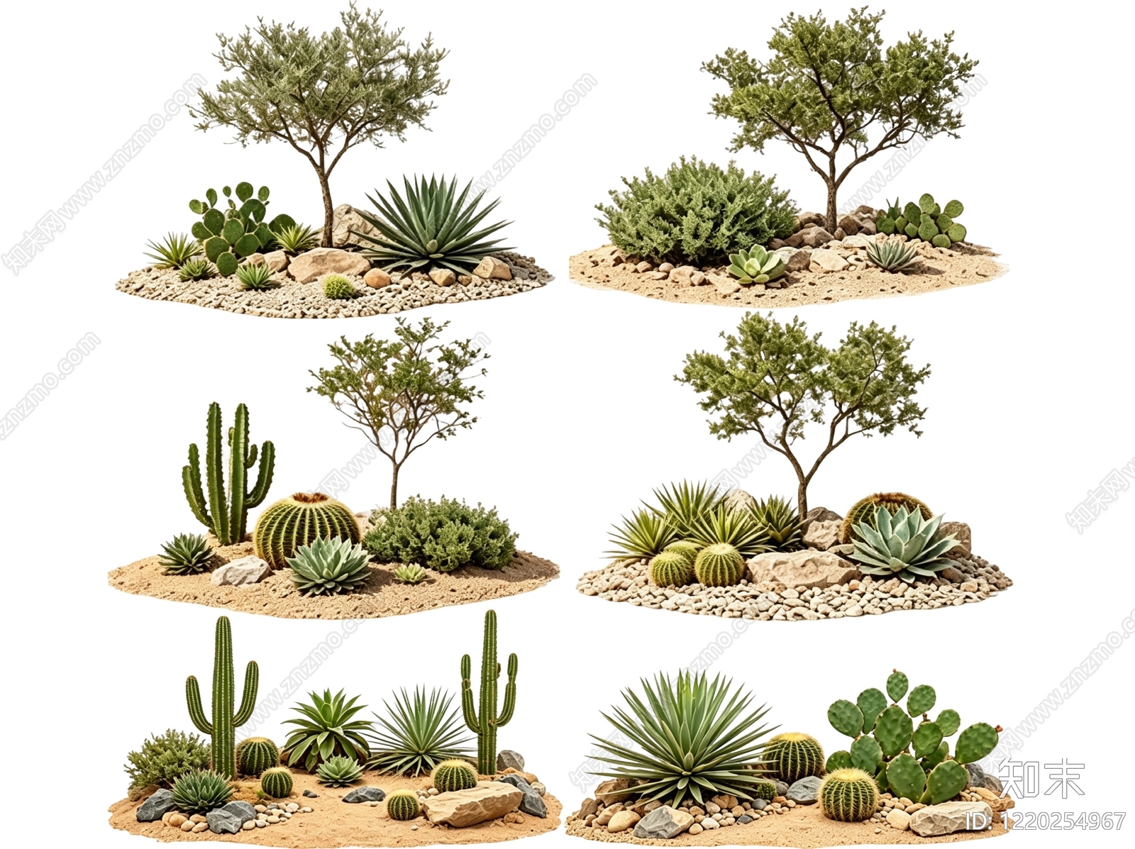 荒漠旱生景观风格沙漠植物SU模型草图