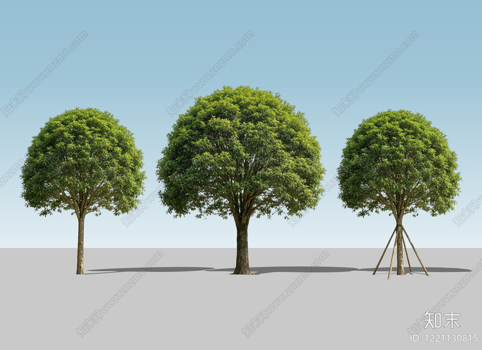 极简主义乔木SU模型下载【ID:1221130815】