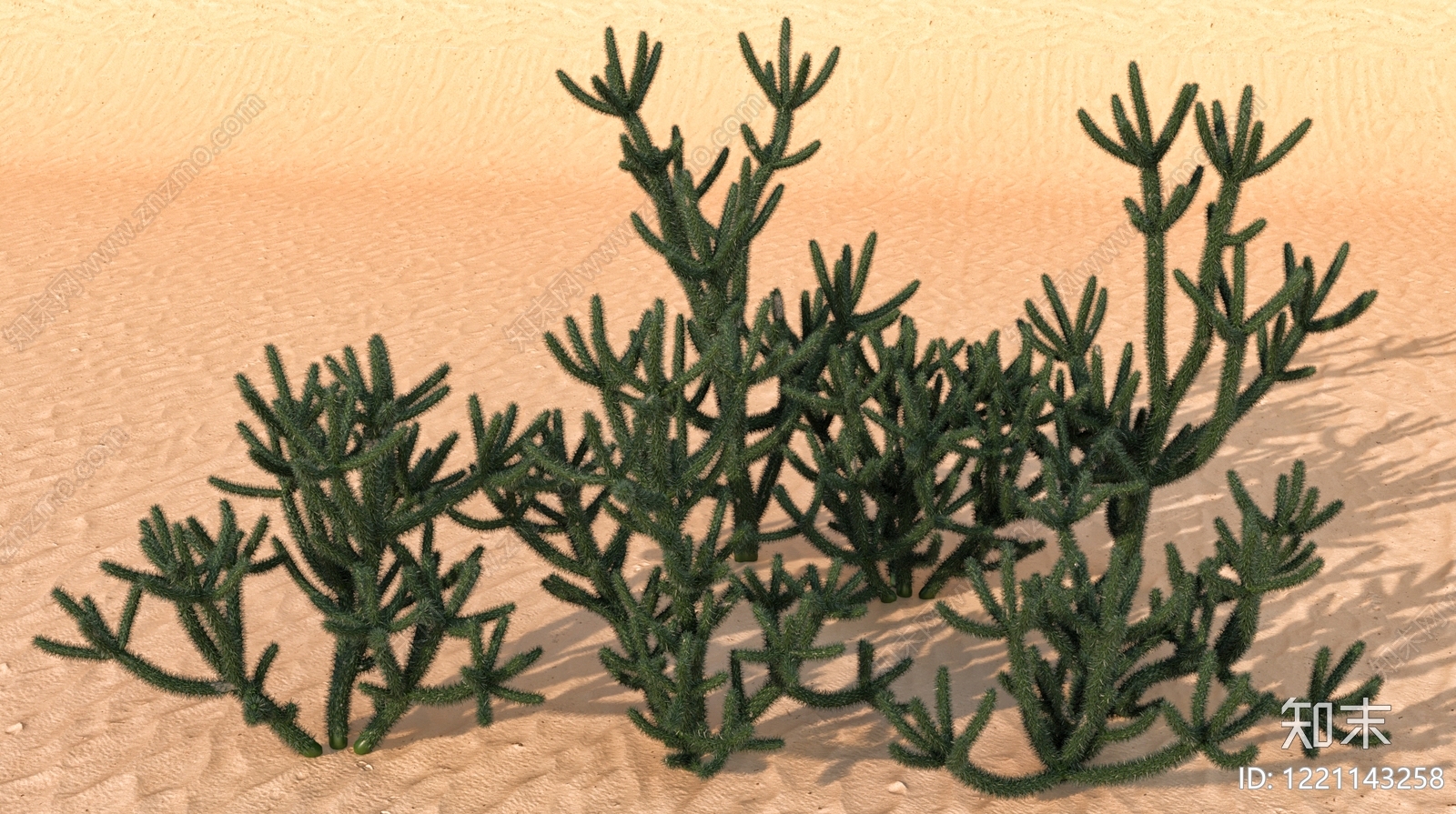 null沙漠植物3D模型下载【ID:1221143258】
