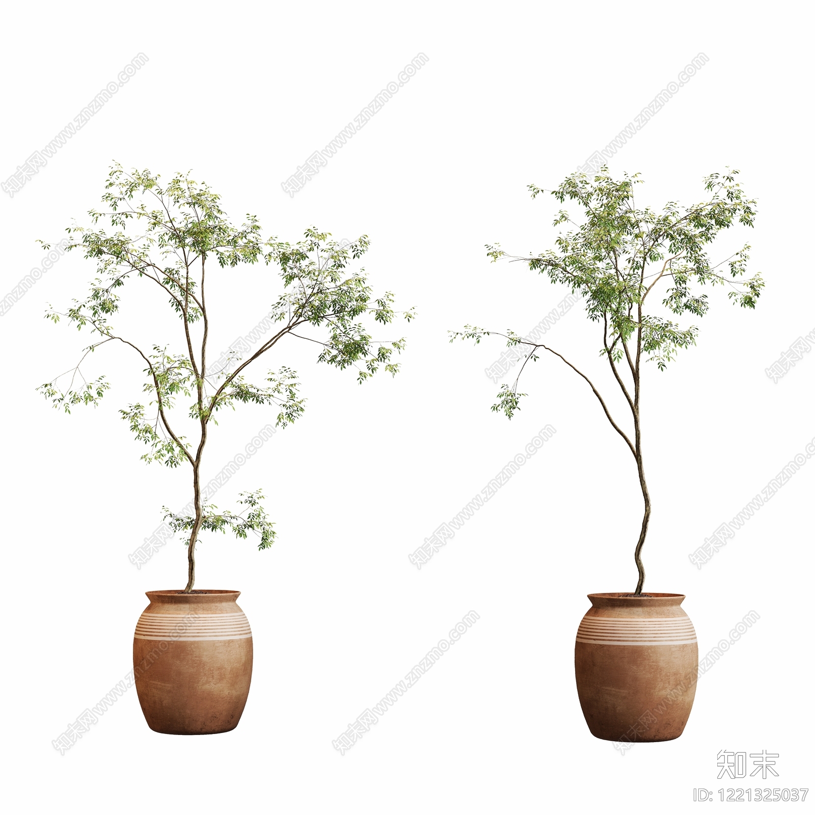 侘寂盆栽3D模型下载【ID:1221325037】