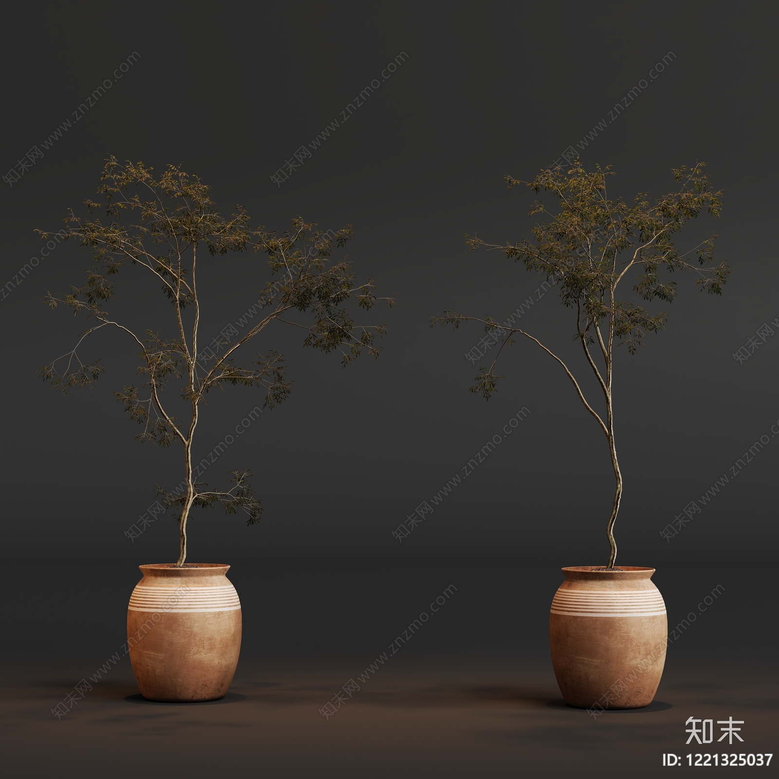 侘寂盆栽3D模型下载【ID:1221325037】