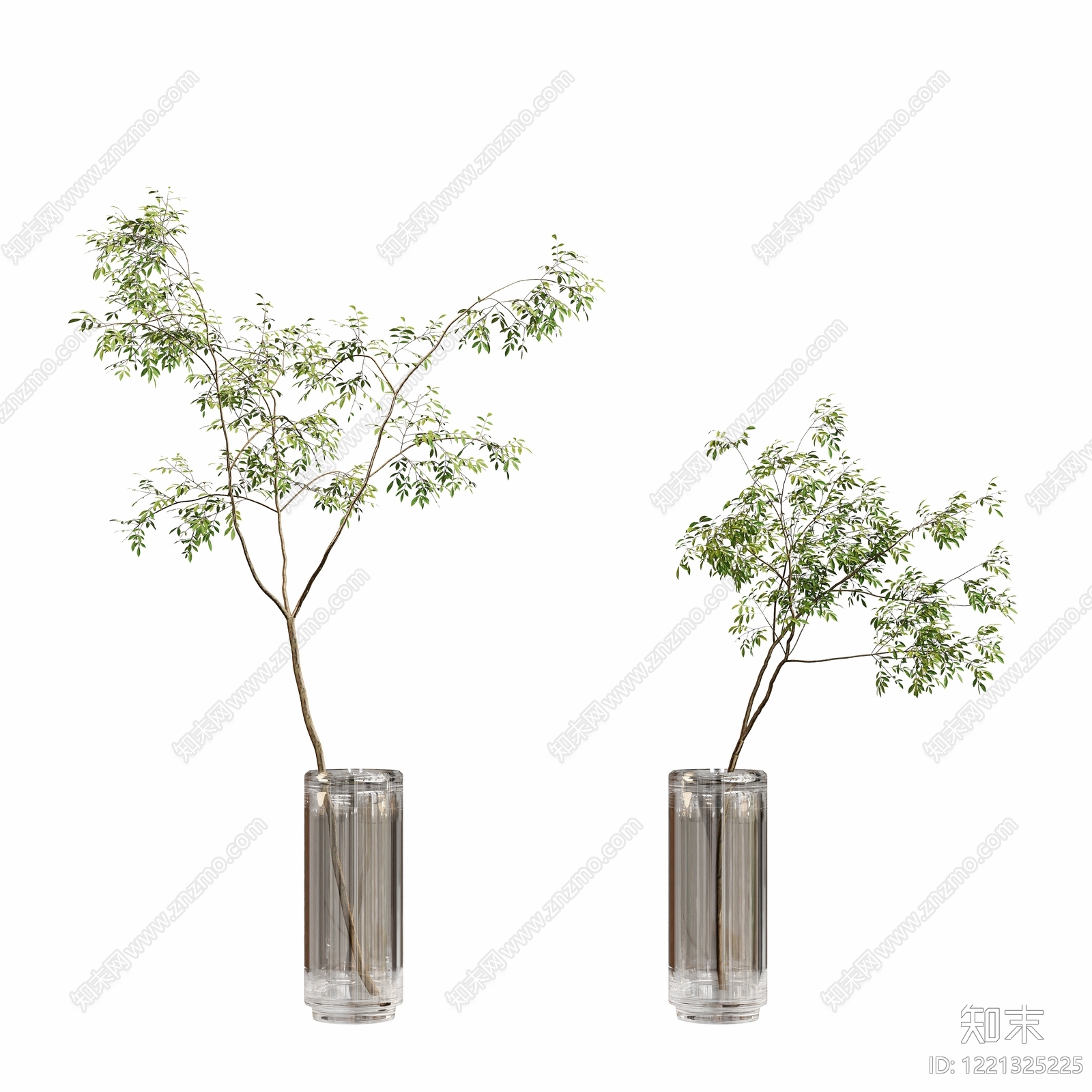 日式侘寂风盆栽3D模型下载【ID:1221325225】