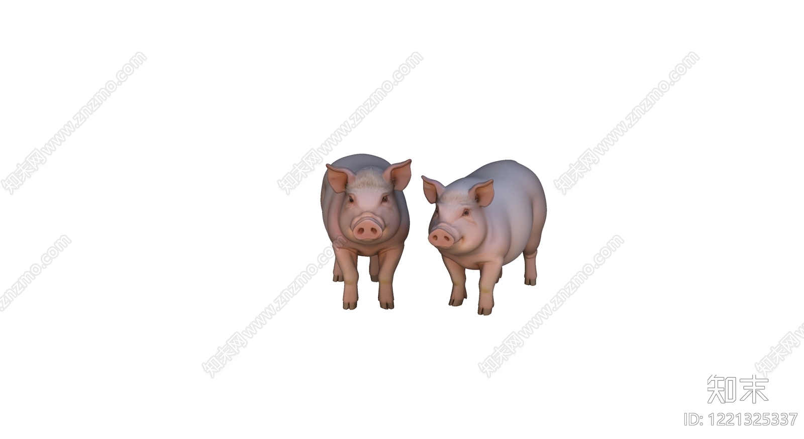 超写实3D渲染家禽动物SU模型下载【ID:1221325337】
