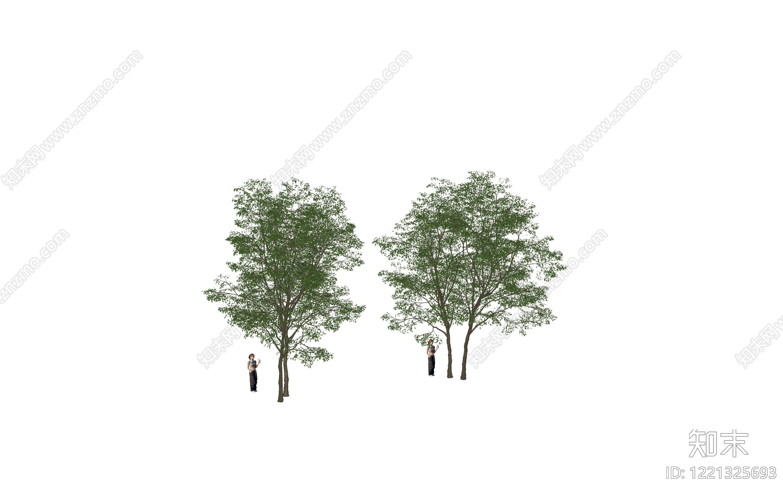 植物树SU模型下载【ID:1221325693】