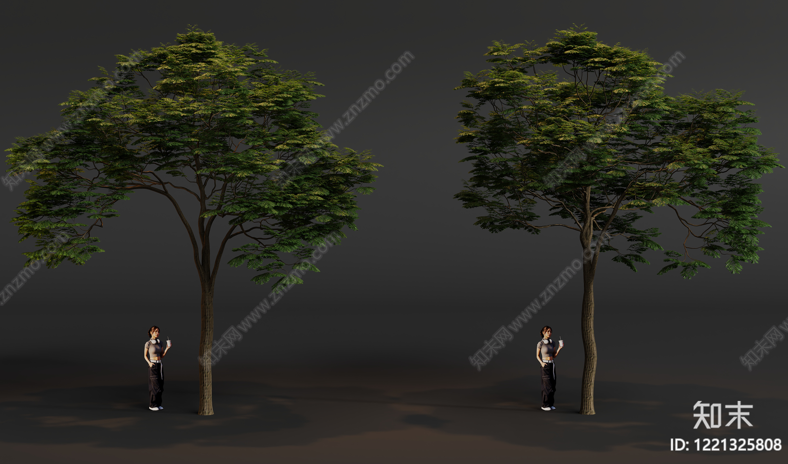 乔木SU模型下载【ID:1221325808】