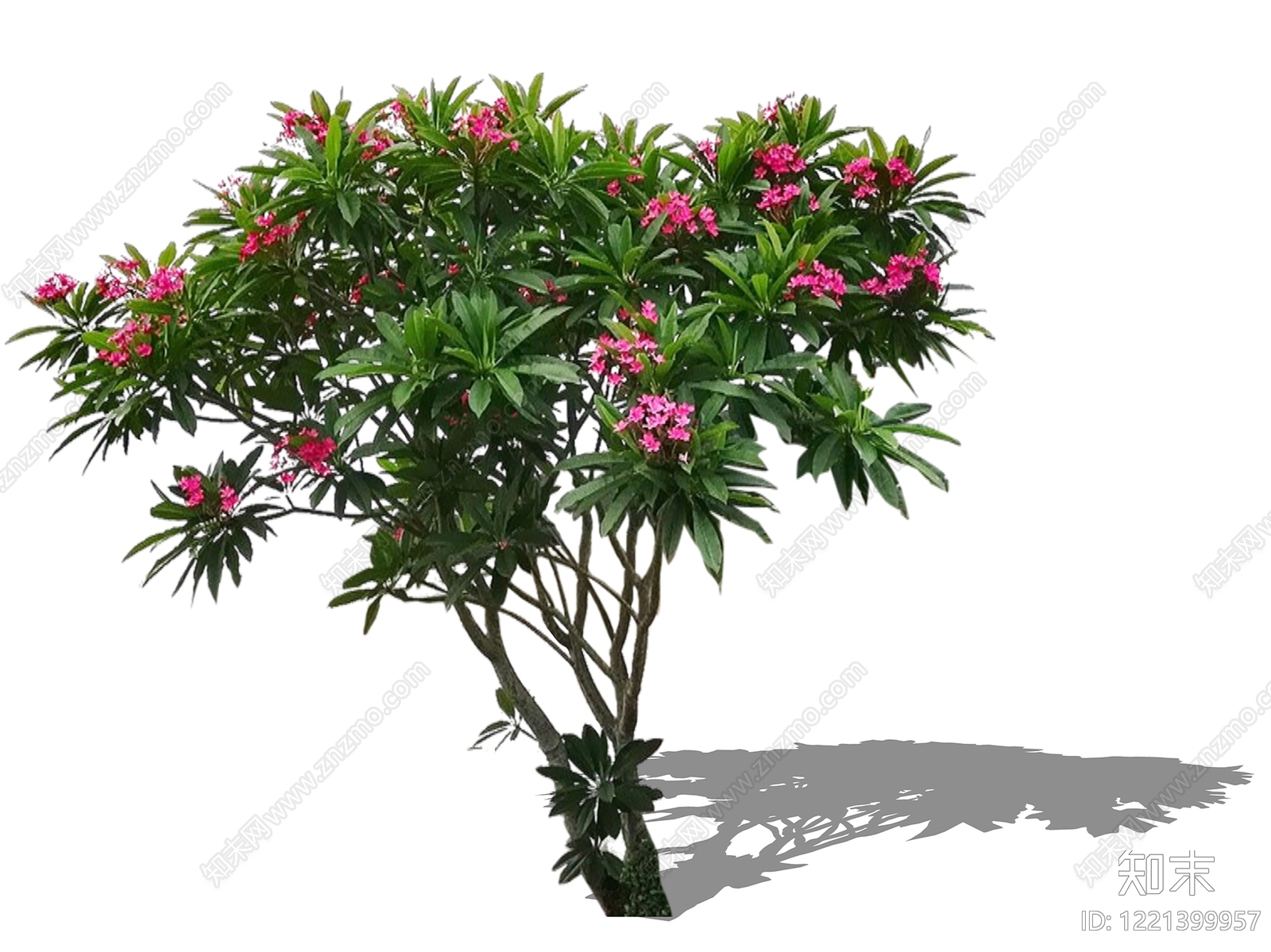 灌木SU模型下载【ID:1221399957】