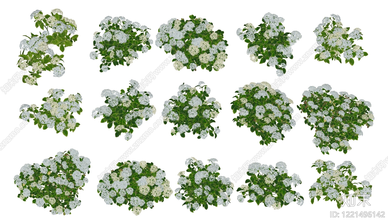 null草本植物SU模型下载【ID:1221496142】