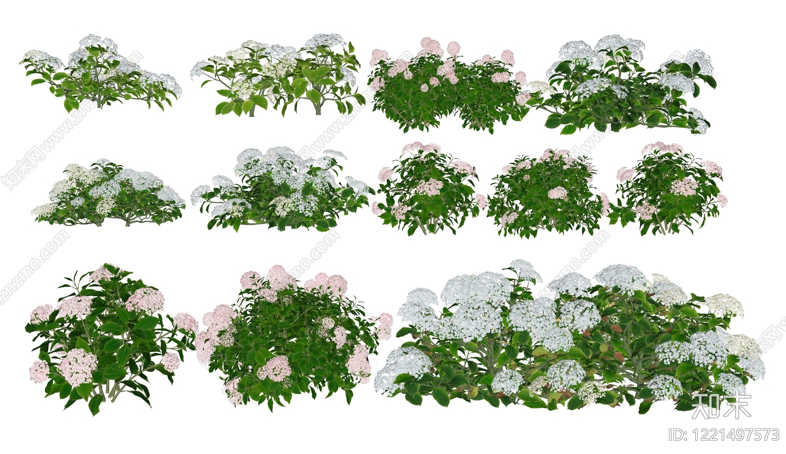 null草本植物SU模型下载【ID:1221497573】