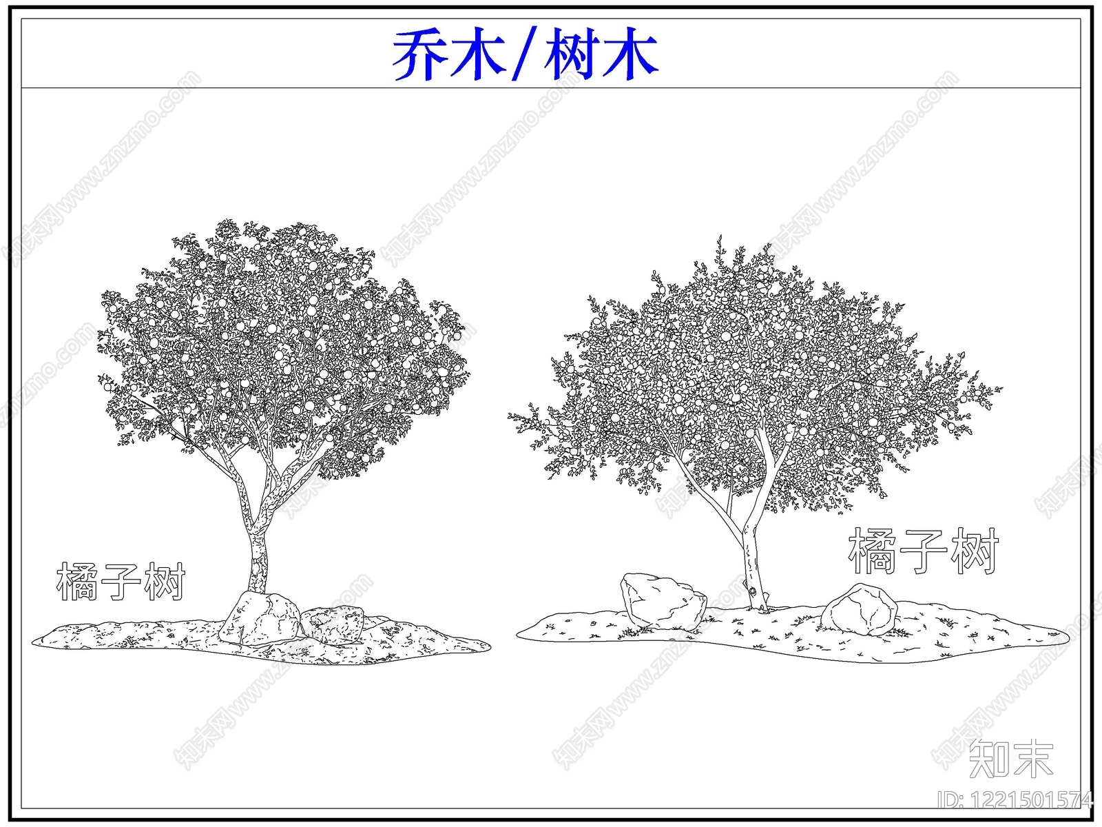 乔木种植CAD图纸