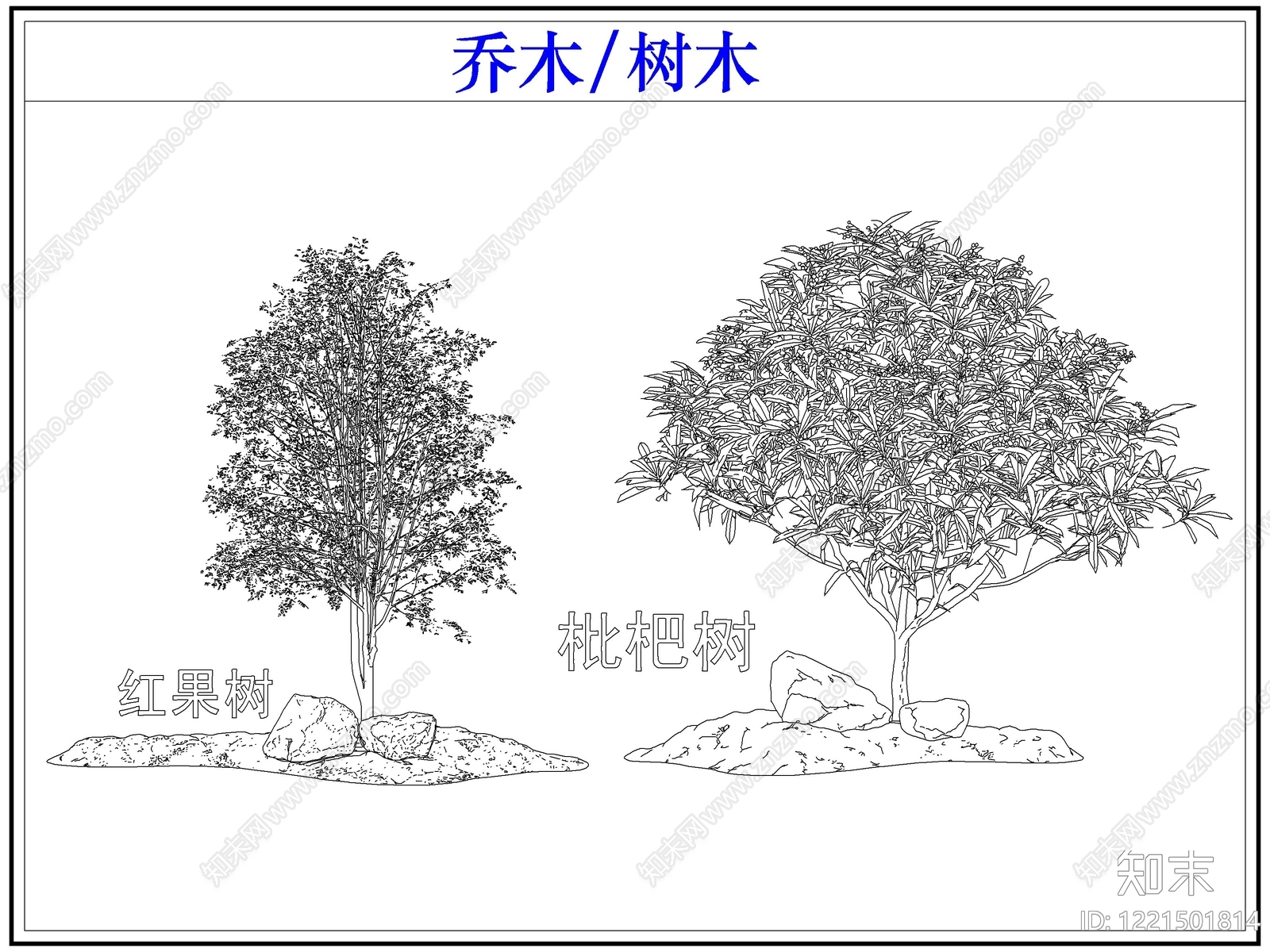 乔木种植cad施工图下载【ID:1221501814】
