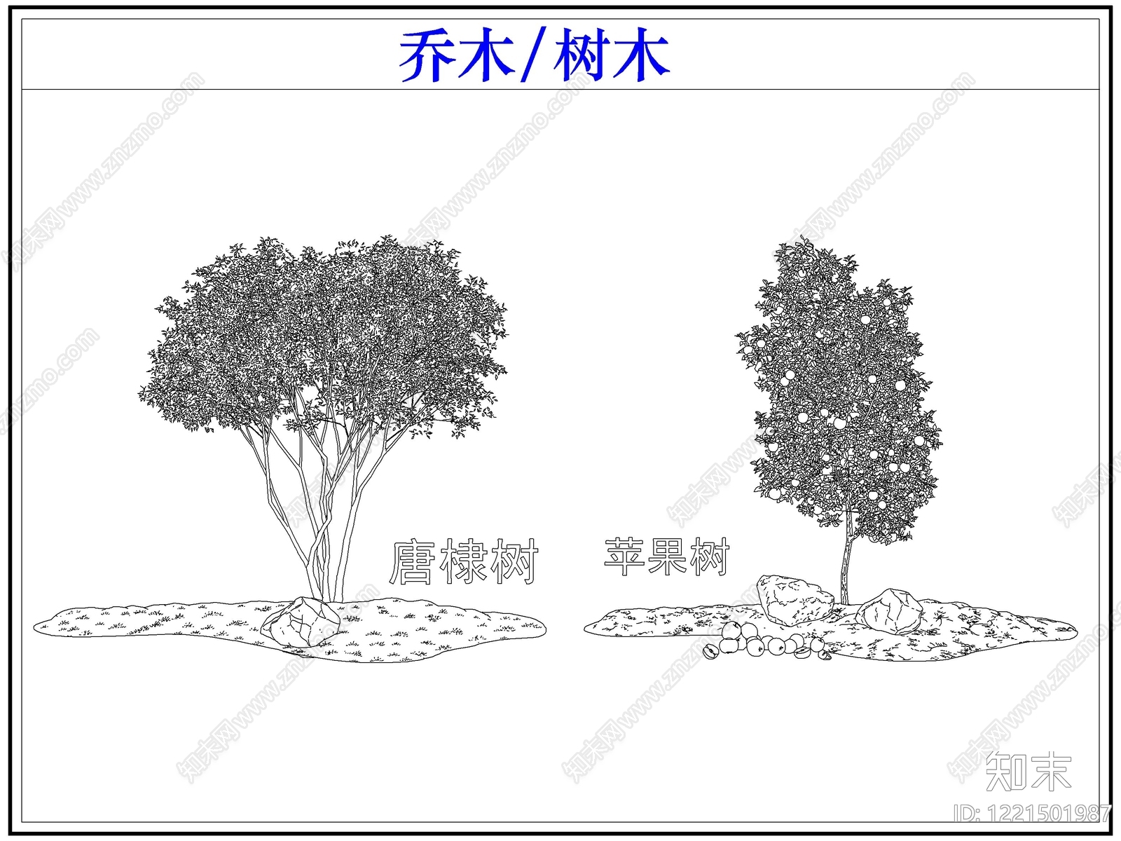 乔木种植CAD图纸