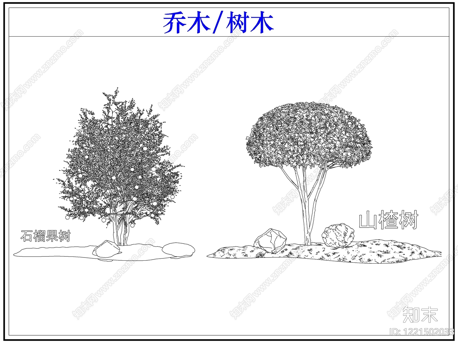 乔木种植CAD图纸