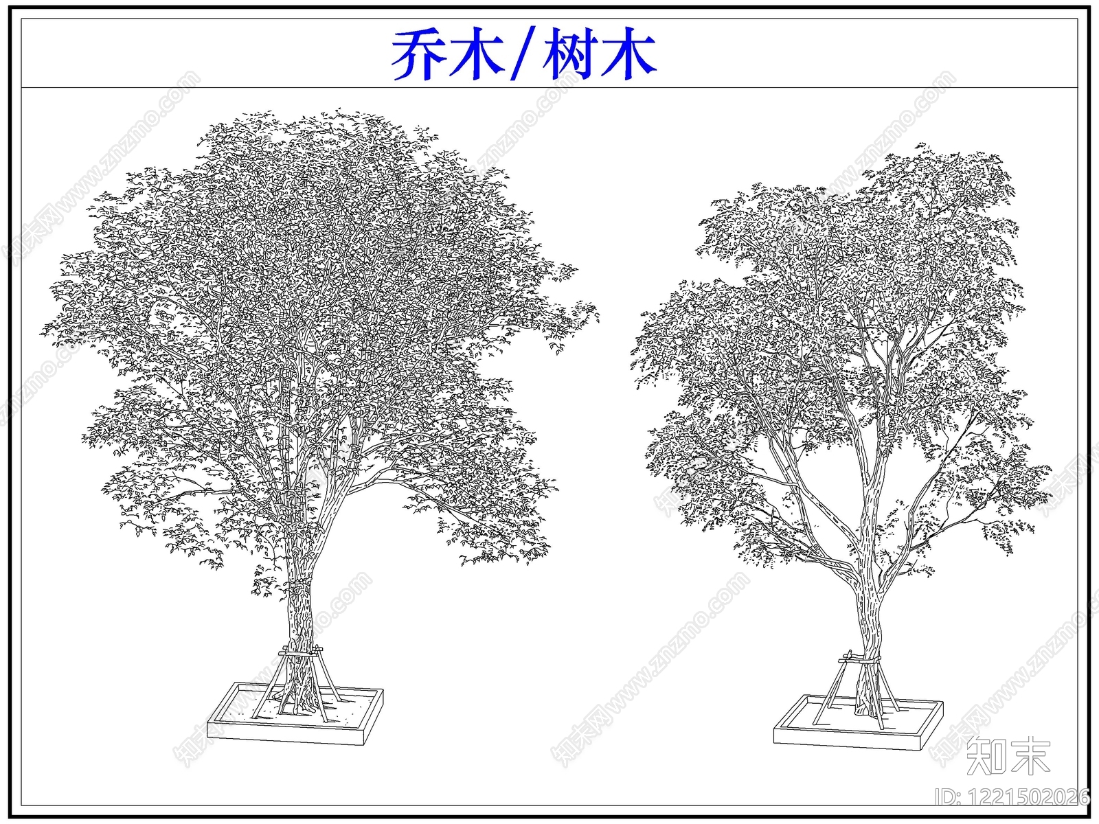乔木种植cad施工图下载【ID:1221502026】
