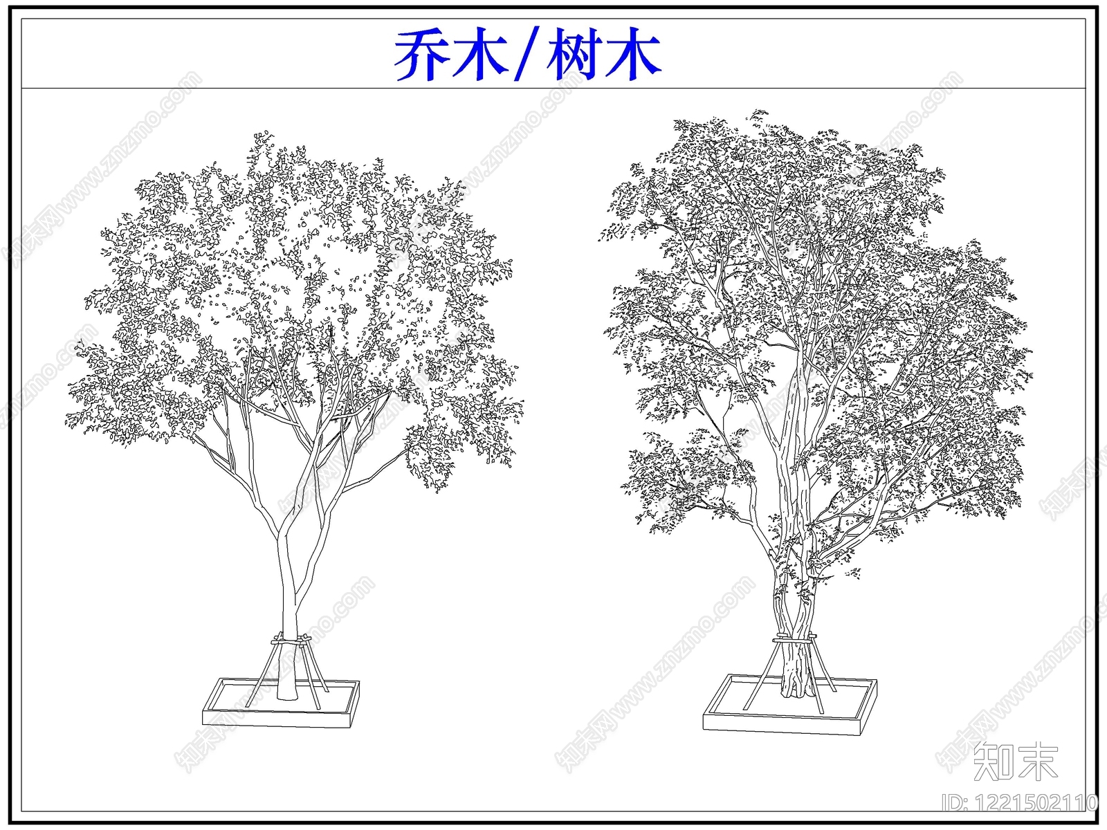 乔木种植cad施工图下载【ID:1221502110】