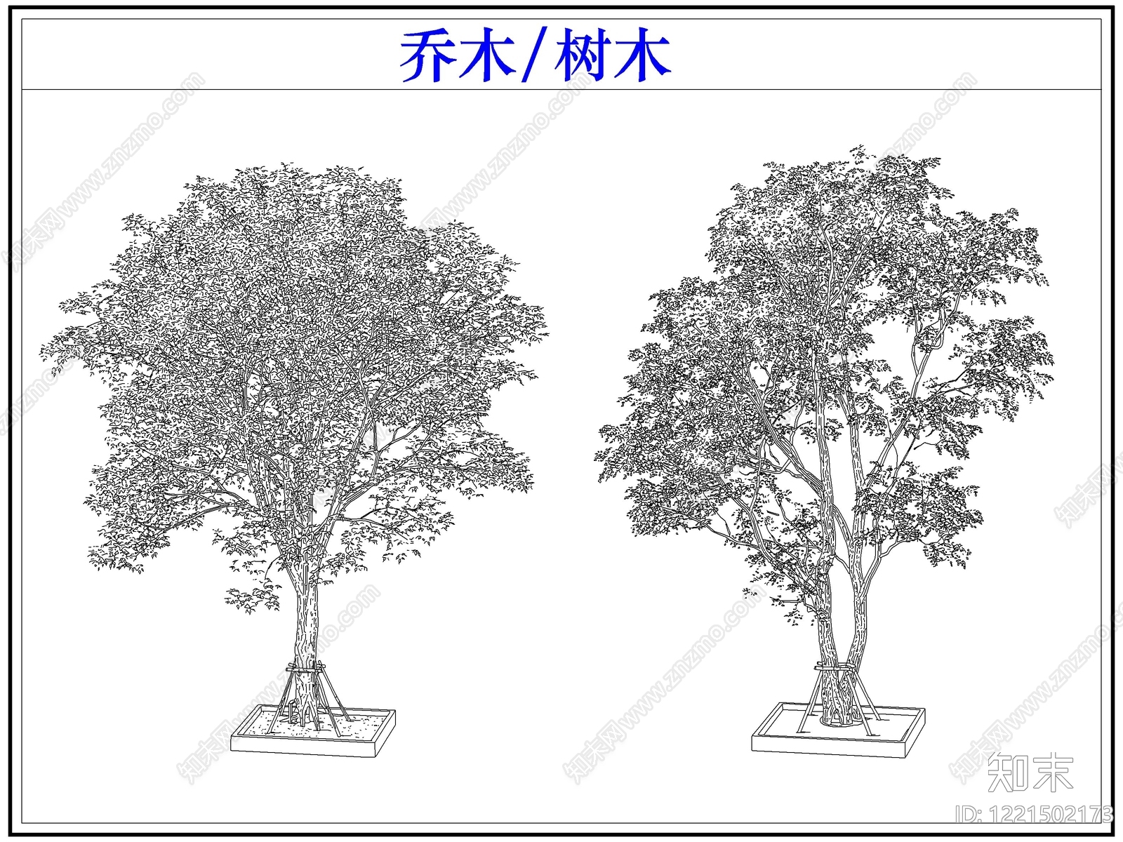 乔木种植cad施工图下载【ID:1221502173】