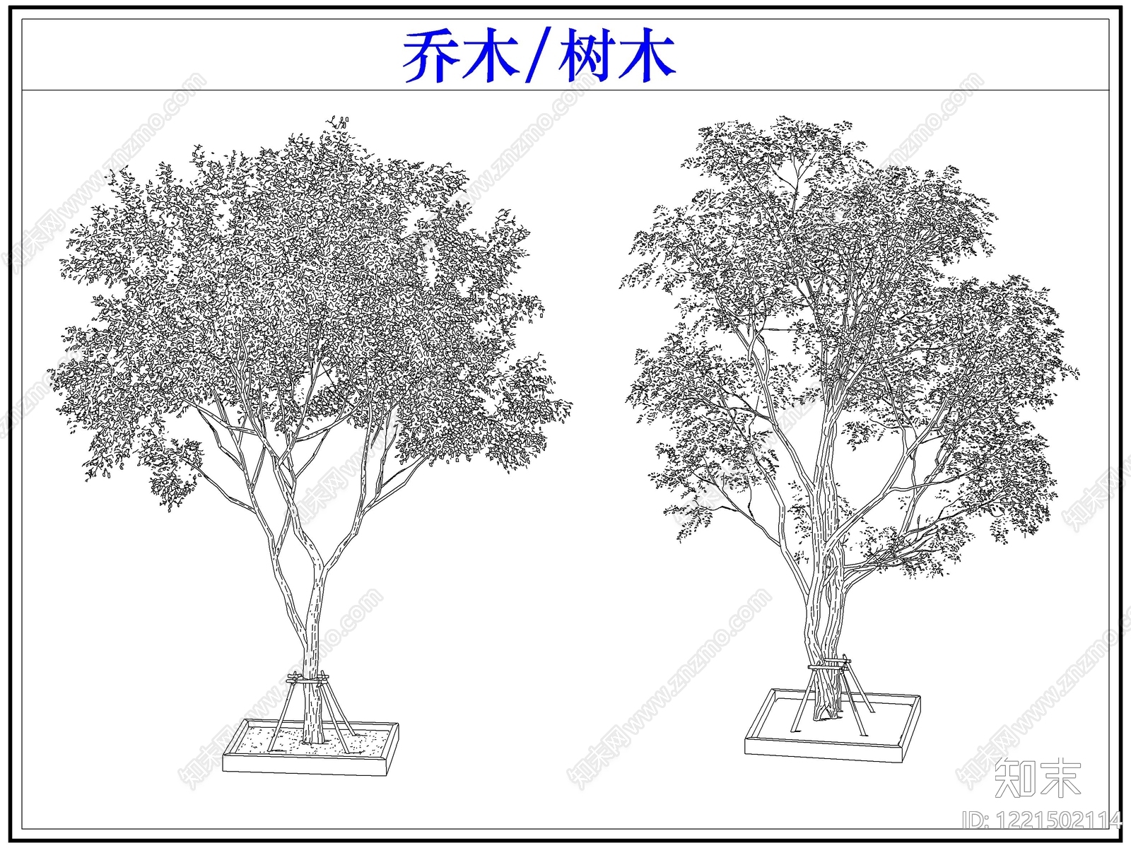 乔木种植cad施工图下载【ID:1221502114】