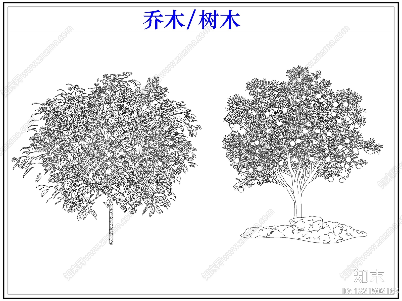 乔木种植CAD图纸