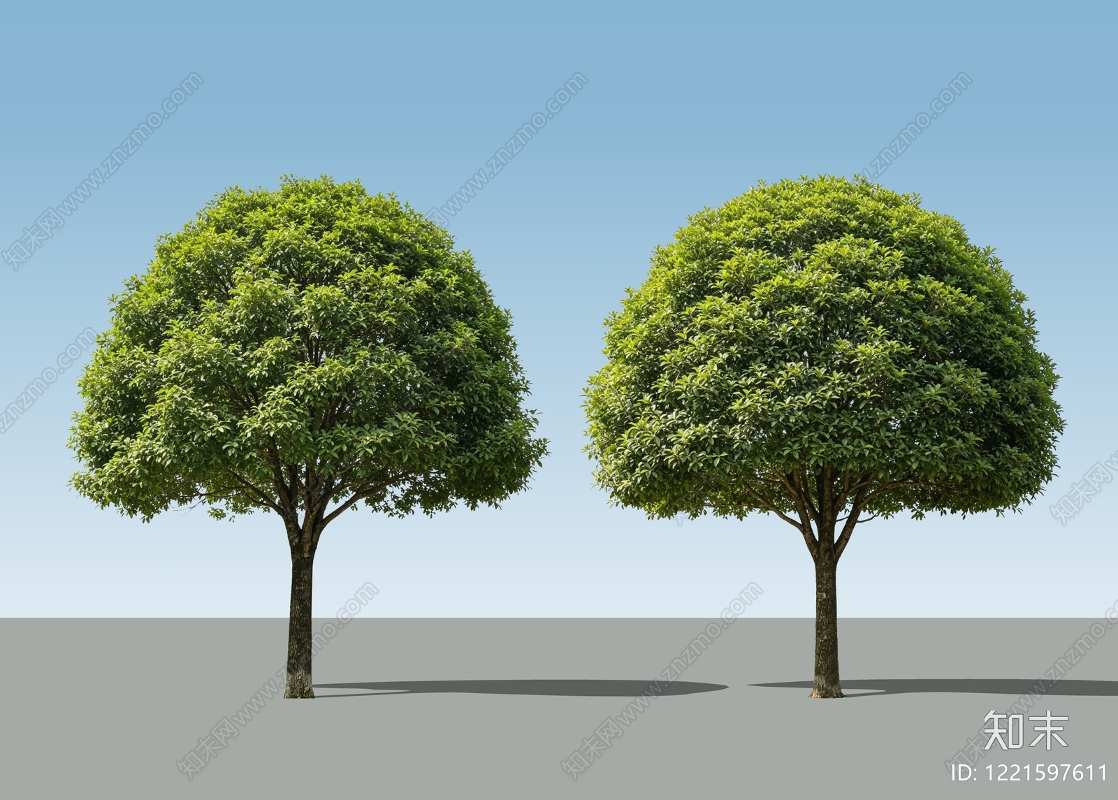极简乔木SU模型下载【ID:1221597611】